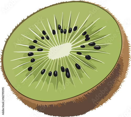 slice of kiwi fruit
