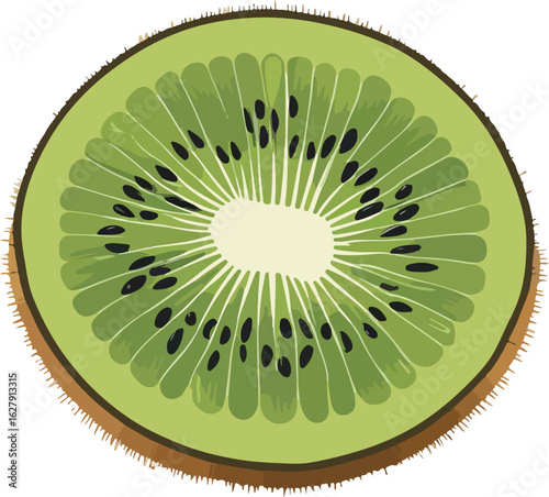 kiwi fruit on white background