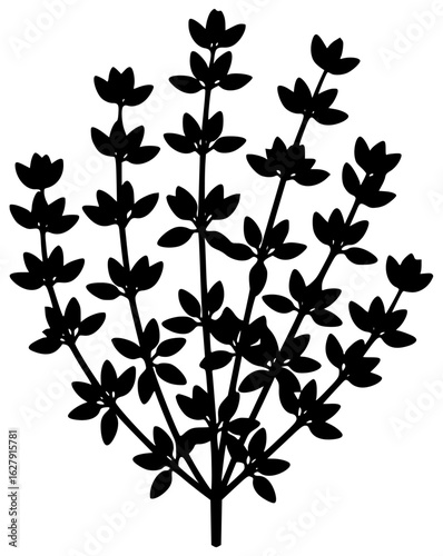 Thyme plant in a small pot with thyme near a flower on a windowsill
