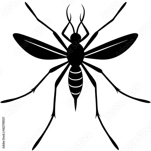 Detailed Mosquito Illustration in Black and White Silhouette Style