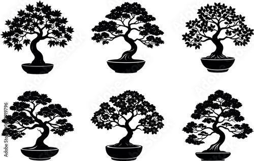 Bonsai tree silhouette collection with maple, pine, ficus, elm, azalea, juniper and more