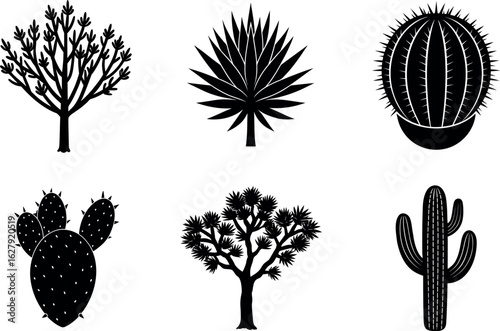Desert plant silhouette collection with cactus, agave, tree, prickly, ocotillo, barrel, silhouette and more