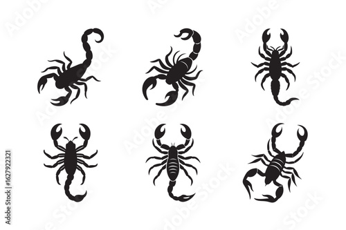 silhouette desert scorpion with curved tail set on the white background