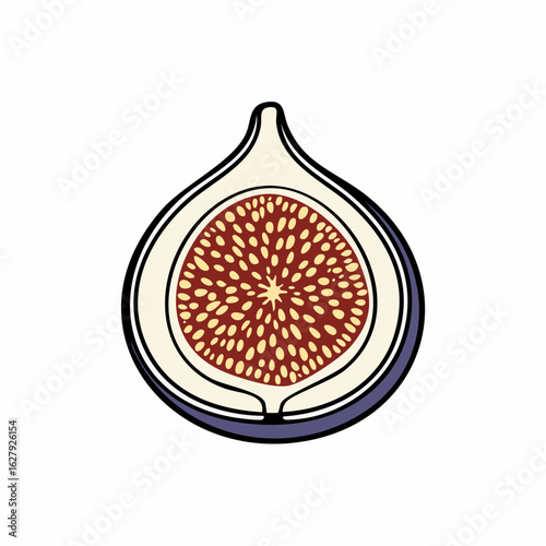 Minimalist Fig Slice Illustration: A Clean and Modern Botanical Fruit Design