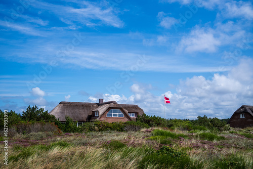 danish flag and cottage