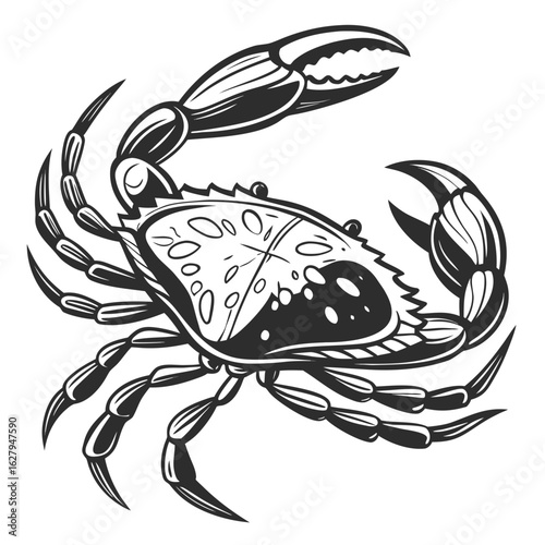 Illustration of a crab isolated on white background