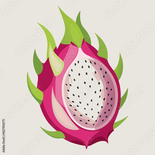 vector illustration of a dragon fruit