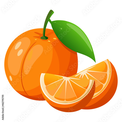 illustration of orange fruit