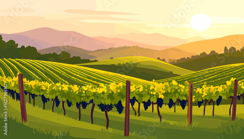Scenic vineyard landscape illustration with rows of grapevines on rolling hills under a warm, golden sunset.