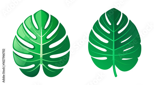 Flat monstera leaf vector illustration design
