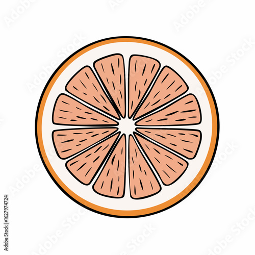 Illustrative depiction of a grapefruit slice showing segmented interior, a simple design
