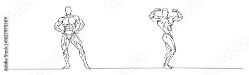 bodybuilder posing muscles outline drawing vector stroke