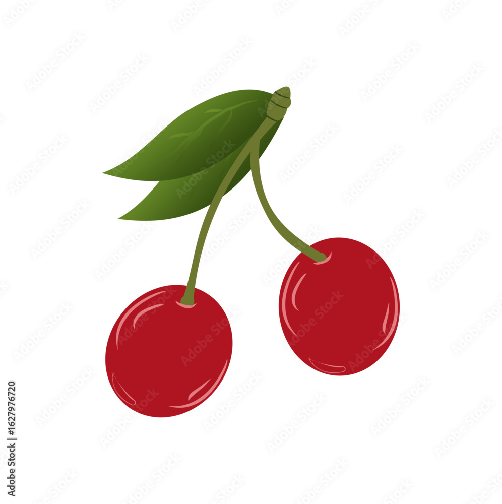 Obraz premium Cherry collection vector illustration. Design element. EPS10