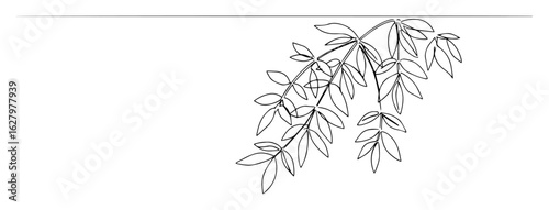 one single line drawing of a hanging jungle liana vine branch with leaves for a tropical foliage concept vector linear design
