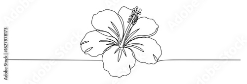 single continuous line drawing of a beautiful hibiscus flower for a tropical and exotic flora concept vector monoline lineart