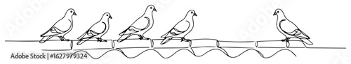 pigeons perched on power line outline vector illustration