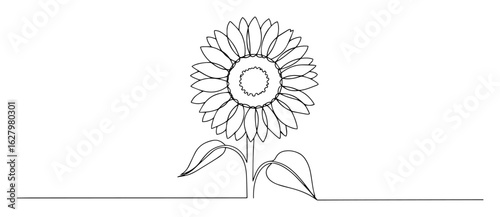one single line drawing of a beautiful single sunflower with leaves for a sunny summer and agriculture concept vector monoline illustration