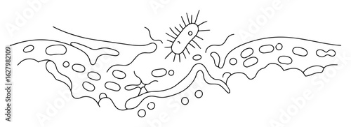 immune cell phagocytosis of a bacterium microbiology concept linear vector