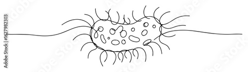 ciliated microorganism or bacterium doodle style line art vector