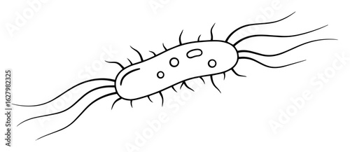 minimalist one line drawing of a prokaryotic bacterium cell a microbiology vector icon