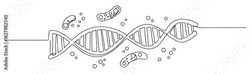 dna helix and bacteria one continuous line drawing