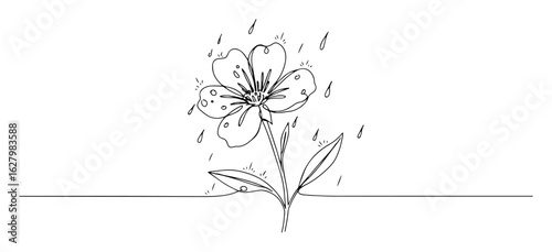 flower in the rain one continuous line drawing