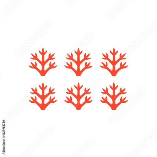  different coral display rack set   