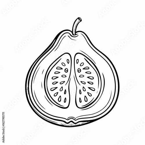 Elegant outline of a halved guava showcasing its seeds and fleshy interior in detail