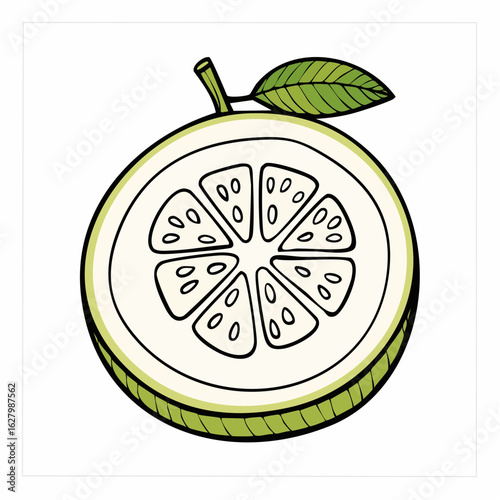 Stylized Citrus Slice: A Whimsical Depiction of a Fresh, Juicy Fruit Segment Drawing