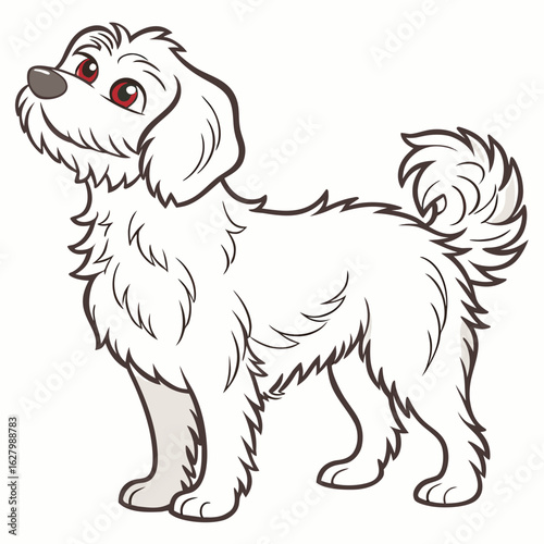 Cute fluffy dog standing, isolated on white background