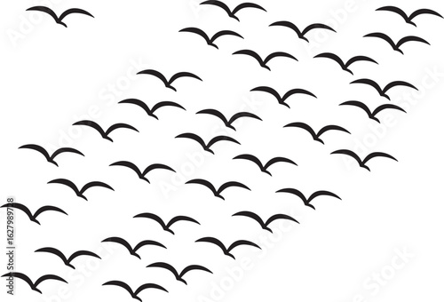 Large flock of birds flying diagonally on white background