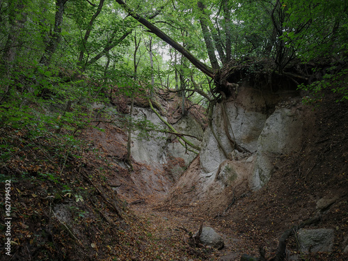 View of steep ravine walls in the Kőporos Gorge, shaped by erosion in soft rhyolitic tuff. Tree roots cling to the fragile cliff, showing the power of natural forces in shaping the landscape.