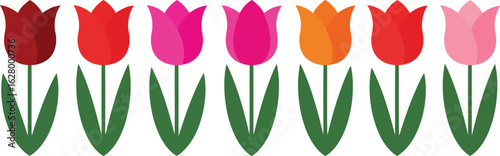 Vibrant tulip spring flowers collection