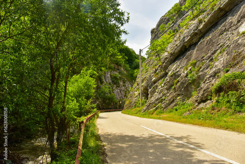 DesfilaImponente formación rocosa junto a carretera de Intregalde, con sombra natural y denso follaje.dero rocoso en Intregalde, Rumanía

