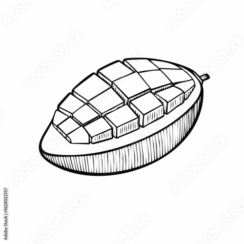 Detailed line art illustration of a sliced mango with grid pattern and textured skin