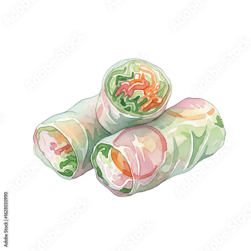 Vegetable spring roll with rice Paper on a White Background- Watercolour Art