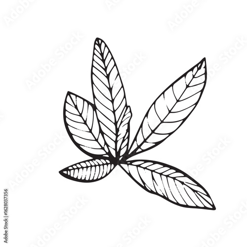 "Bold black silhouette of a leafy plant, sharply contrasted against a clean white background"