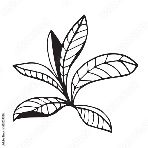 "Bold black silhouette of a leafy plant, sharply contrasted against a clean white background"