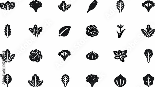 Collection of twenty four black and white icons depicting various types of leafy green vegetables