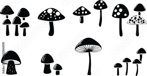 Illustration of various black and white mushrooms with different shapes and sizes on a white background