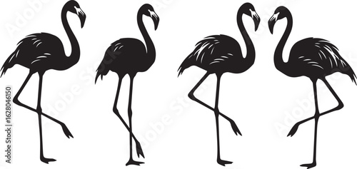 Four Black Silhouette Flamingos Standing on One Leg Against a White Background bird animal