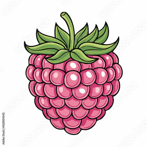 Illustrated Raspberry Delight: A Vibrant Cartoon Style Rendering on White Background