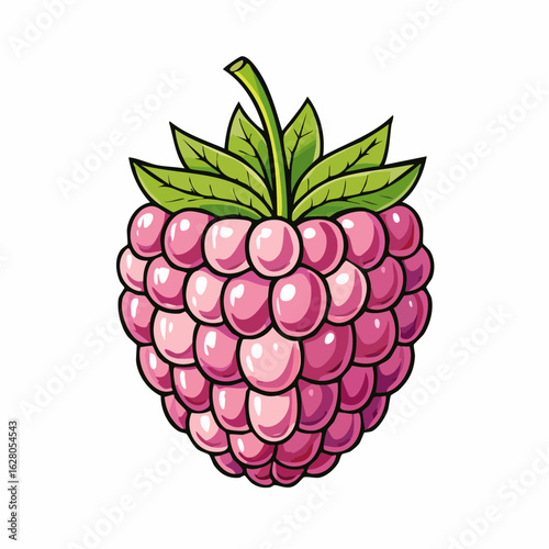 Cartoon style illustration of a pink raspberry with green leaves and stem on white background
