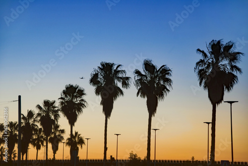 Sunset strip image with an orange sky full of palm tree's in this holiday image. An airliner climbs into the sky in silhouette. Copy space.