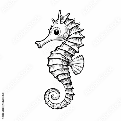 Detailed Monochrome Line Art Depicting a Graceful Seahorse on a White Background