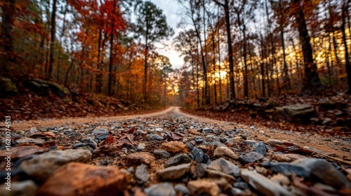 Wallpaper Mural Gravel road through autumn countryside Torontodigital.ca