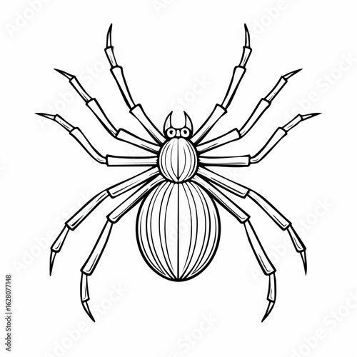 Detailed Line Art Illustration of a Spider: A Striking Arachnid Design for Various Uses