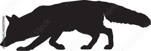 Black fox silhouette stalking animal wildlife