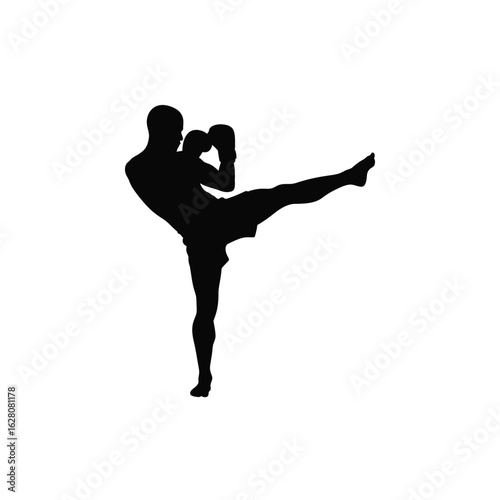 Silhouette of a kickboxer in action, isolated on white background, demonstrating martial art skills, power, and agility in a dynamic combat sport