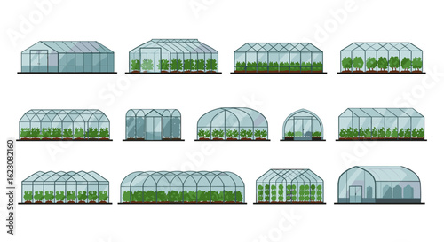 Collection of various modern greenhouses with growing plants
